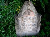 image of grave number 196908
